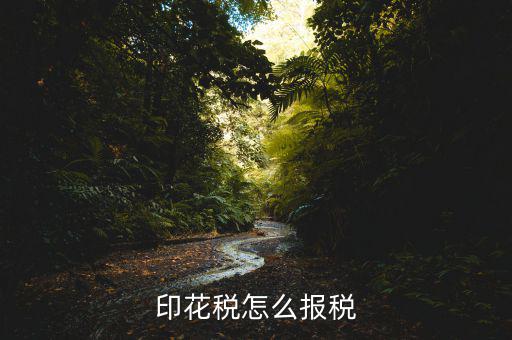 印花稅怎么報稅