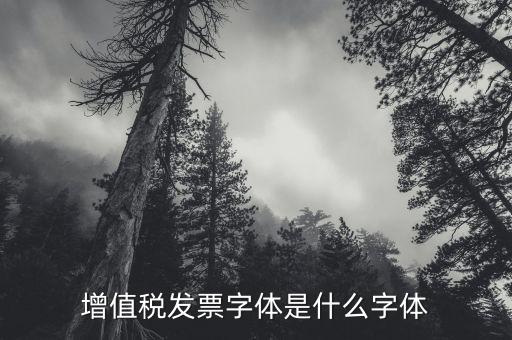 甘肅增值發(fā)票是什么字體，增值稅發(fā)票字體是什么字體