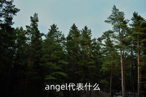 實(shí)體化管理什么意思，angel代表什么