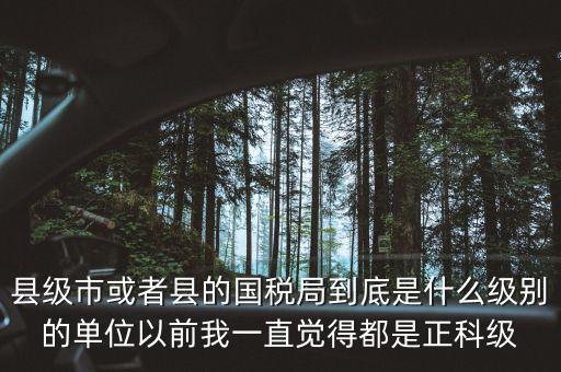 縣國(guó)稅局辦稅服務(wù)廳主任是什么級(jí)別，縣地稅局辦公室主任是什么行政級(jí)別