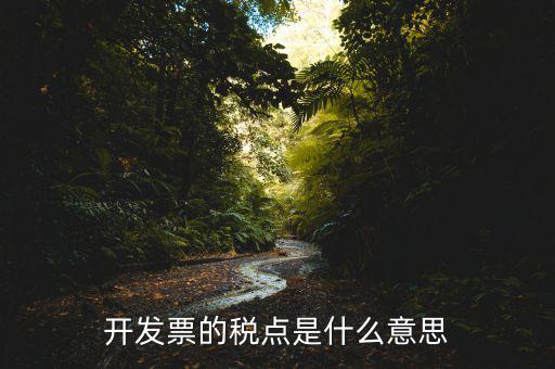 開票加稅點(diǎn)是什么意思，加稅點(diǎn)什么意思舉個例子