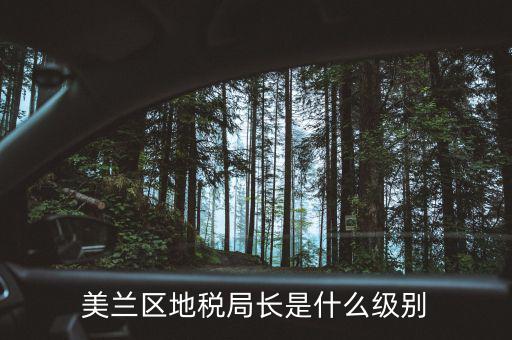 美蘭區(qū)地稅局長(zhǎng)是什么級(jí)別