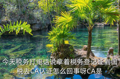 電子稅務(wù)局什么是ca登錄，網(wǎng)上報稅CA驗證系統(tǒng)是甚么