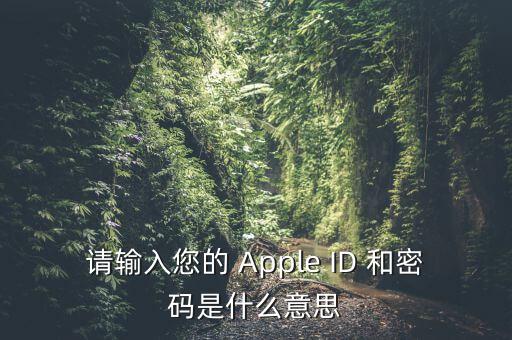 查詢個稅 密碼是輸入什么，請輸入您的 Apple ID 和密碼是什么意思