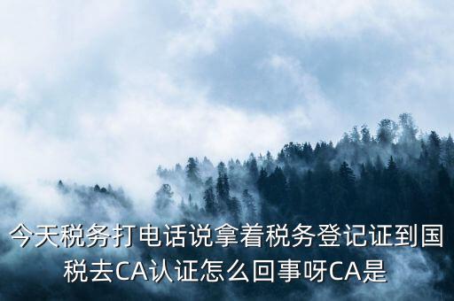 今天稅務(wù)打電話說拿著稅務(wù)登記證到國(guó)稅去CA認(rèn)證怎么回事呀CA是