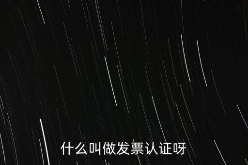 什么叫做發(fā)票認證呀