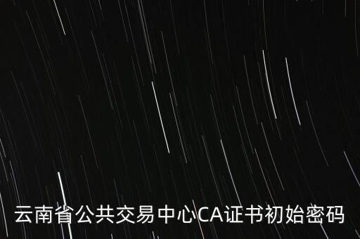 ca證書的原始密碼是什么意思，云南省公共交易中心CA證書初始密碼