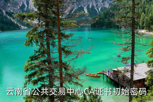 ca證書的原始密碼是什么，云南省公共交易中心CA證書初始密碼