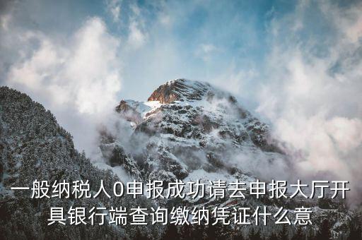 繳稅憑證是什么意思，申報(bào)成功請(qǐng)到申報(bào)大廳開(kāi)具銀行端查詢繳稅憑證什么意思呀