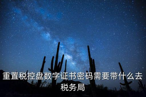 重置稅控盤數(shù)字證書密碼需要帶什么去稅務局