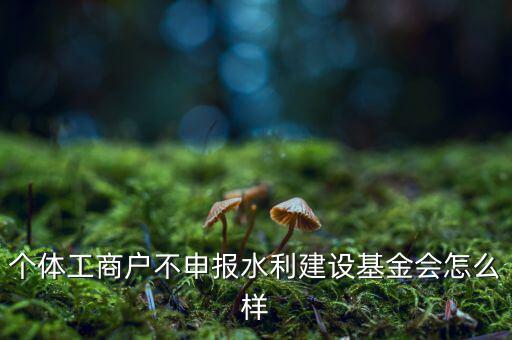 水利基金不報有什么后果，水利建設(shè)基金計稅當(dāng)月沒報有影響嗎