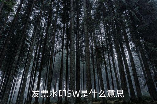 什么是發(fā)票水印，網(wǎng)購怎么辨別發(fā)票真徦