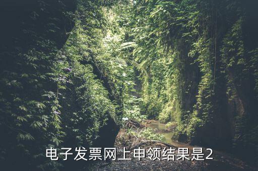 電子發(fā)票網(wǎng)上申領(lǐng)結(jié)果是2