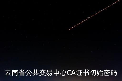 ca原始密碼登錄是什么，蘇州投標(biāo)ca初始密碼