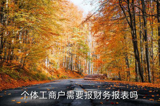 個體戶都需要申報什么表，個體工商戶需要報財務(wù)報表嗎