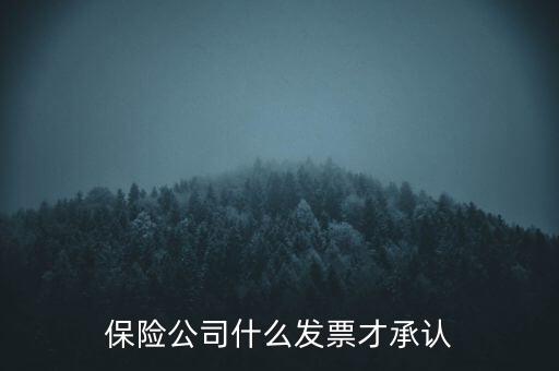 保險公司要什么發(fā)票，保險公司什么發(fā)票才承認