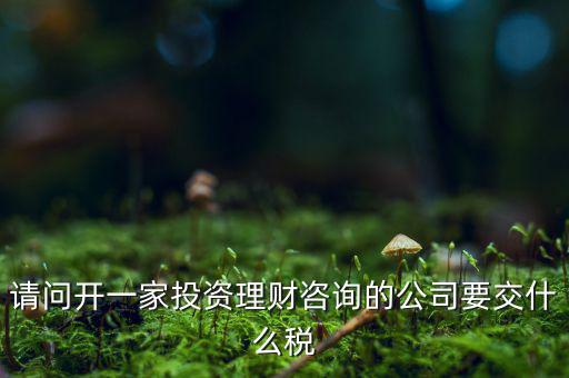 請(qǐng)問開一家投資理財(cái)咨詢的公司要交什么稅