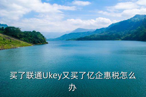 買(mǎi)了聯(lián)通Ukey又買(mǎi)了億企惠稅怎么辦