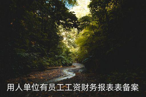 財(cái)務(wù)備案是什么意思，備案是什么意思