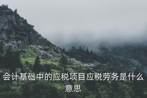 應(yīng)稅是什么意思，會(huì)計(jì)中的應(yīng)稅勞務(wù)是什么意思