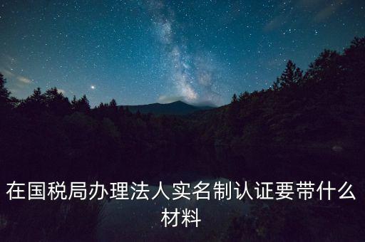 服務(wù)廳實(shí)名辦稅要帶什么，服務(wù)業(yè)辦稅務(wù)登記要些什么證件