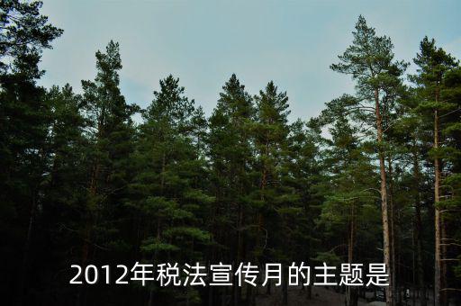 17年稅宣的主題是什么，2013年全國(guó)稅收宣傳月主題