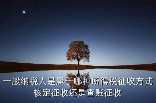 一般納稅人屬于什么，什么是一般納稅人