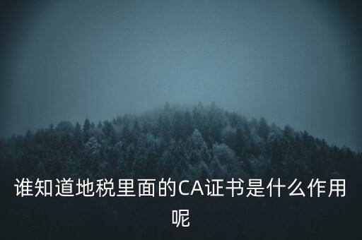 地稅的ca證書是什么，什么是聯(lián)通ca證書地稅ca證書