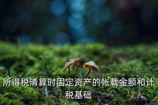 所得稅清算時固定資產的帳載金額和計稅基礎