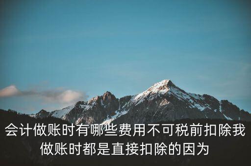 什么不可以稅前扣除嗎，納稅人哪些支出不能在企業(yè)所得稅前扣除