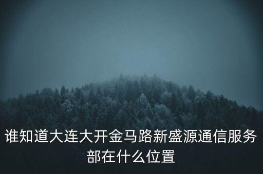 信息服務(wù)部可以叫什么地方，誰知道大連大開金馬路新盛源通信服務(wù)部在什么位置