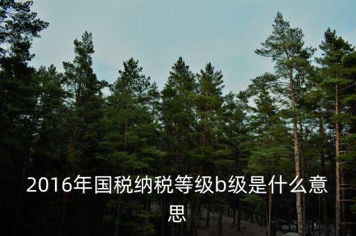 2016年國稅納稅等級b級是什么意思