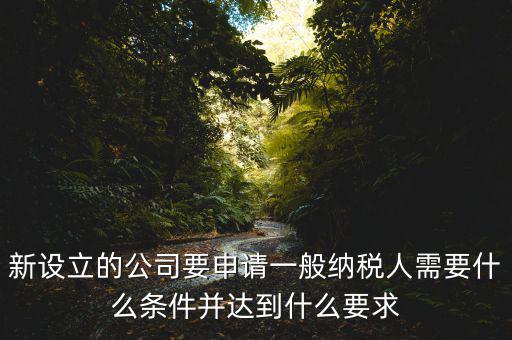 新設(shè)立的公司要申請一般納稅人需要什么條件并達到什么要求