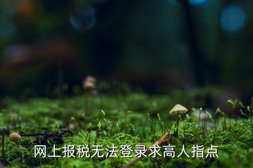 網(wǎng)上報稅無法登錄求高人指點(diǎn)