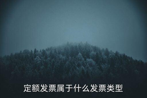 定額發(fā)票什么，河南省地稅定額發(fā)票怎么查詢