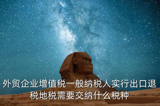 外貿(mào)企業(yè)增值稅一般納稅人實行出口退稅地稅需要交納什么稅種