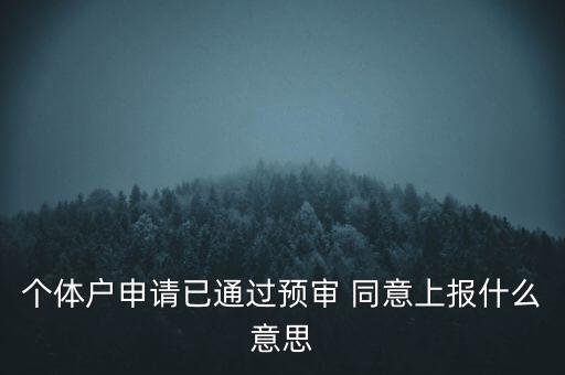 個體戶申請已通過預審 同意上報什么意思