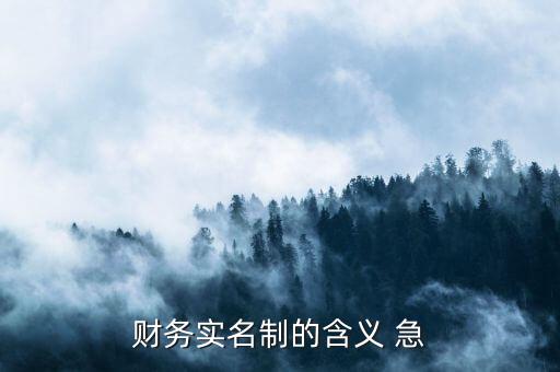 稅務(wù)實(shí)名制是什么意思，財(cái)務(wù)實(shí)名制的含義 急