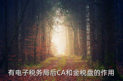 電子稅務(wù)局有什么用，有電子稅務(wù)局后CA和金稅盤的作用