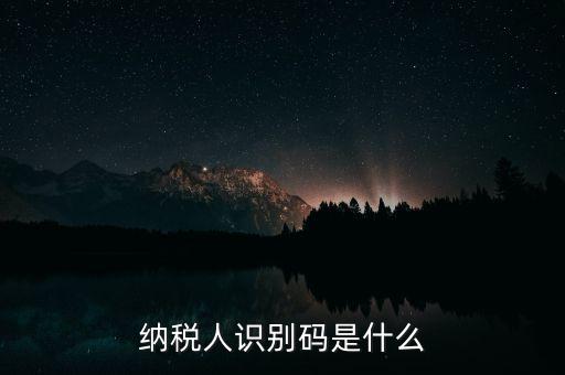 網(wǎng)上報(bào)稅納稅人識(shí)別碼是什么，納稅人識(shí)別碼是什么