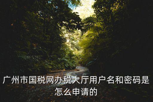 廣州國稅官網(wǎng)登錄密碼是什么原因，國稅第一次網(wǎng)上申報(bào)的登陸密碼是什么