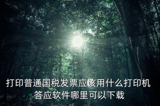 打國稅發(fā)票用什么軟件，打印普通國稅發(fā)票應(yīng)該用什么打印機(jī) 答應(yīng)軟件哪里可以下載