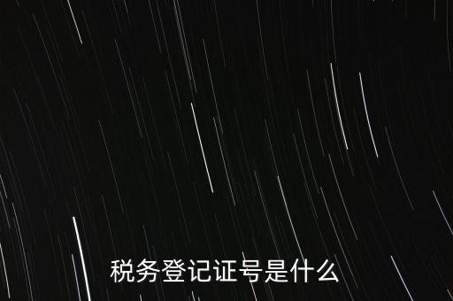 稅務(wù)登記證號(hào)是什么