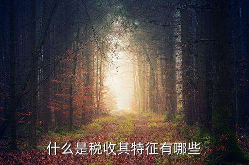 稅收的特點是什么意思，稅收的實質(zhì)和特征