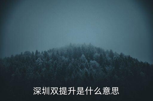 兩手抓兩提升是什么意思，中央提出的兩手抓是什么