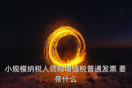 申領普通發(fā)票需要什么，小規(guī)模納稅人領購增值稅普通發(fā)票 要帶什么