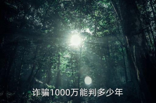 騙稅1000萬什么罪，偷稅漏稅1000萬什么罪