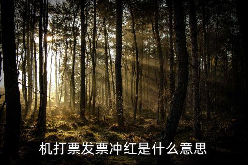 沖紅發(fā)票什么意思，單據(jù)沖紅是什么意思