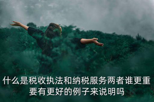 什么是稅收?qǐng)?zhí)法和納稅服務(wù)兩者誰(shuí)更重要有更好的例子來說明嗎