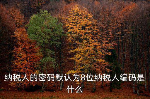 納稅人的密碼默認為8位納稅人編碼是什么